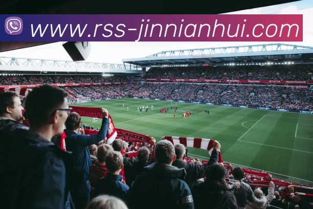 App Interface Preview